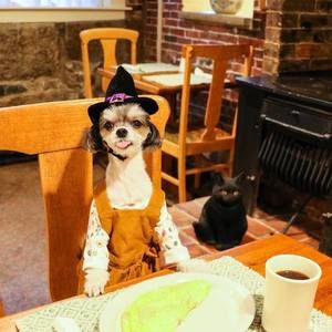 Meet your Posher, Chantal